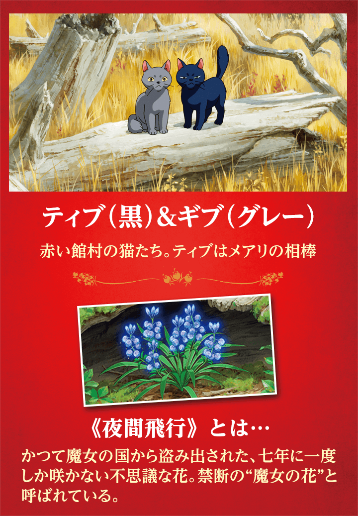 ティブ（黒）＆ギブ（グレー）　-赤い館村の猫たち。ティブはメアリの相棒-