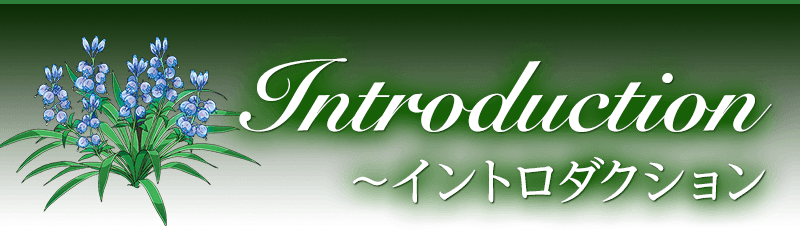 Introduction〜イントロダクション